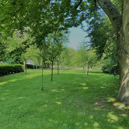 Charming Normandy House With Sauna, Apple Orchard, Short Walk To The * Vattetot-sur-Mer
