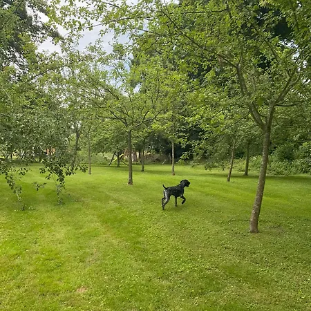 Charming Normandy House With Sauna, Apple Orchard, Short Walk To The Feriehus *